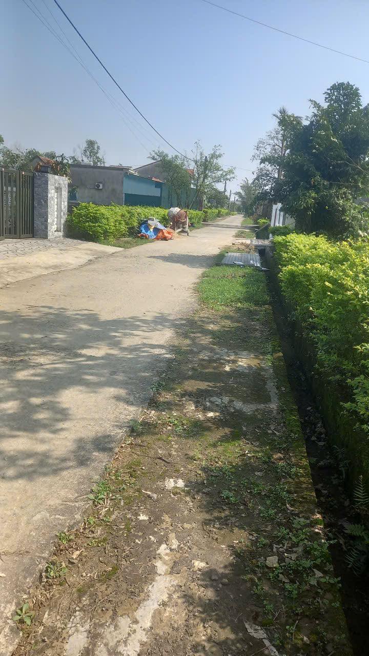 Đất thổ cư thôn Trung Thành, xã Cẩm Trung 180m² giá 500 triệu - Cơ hội đầu tư tuyệt vời!