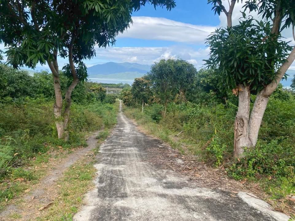 Đất thổ cư Ninh Ích, Ninh Hòa 16.000m² giá 33.6 tỷ - View biển tuyệt đẹp!