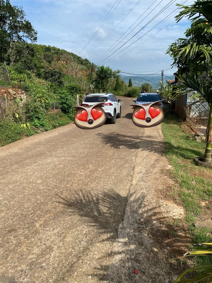 Đất nền Tân Nghĩa, Di Linh 75m² giá thỏa thuận - View sông tuyệt đẹp!