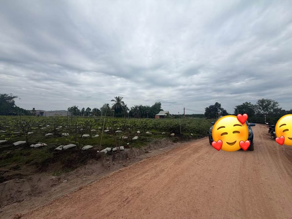 Đất nền Suối Đá Dương Minh Châu 250m² giá 200 triệu - Đầu tư sinh lời ngay!