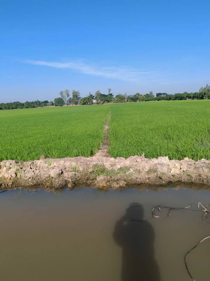 Đất nông nghiệp 360.000m² tại Bình Thành, An Giang - Sổ đỏ chính chủ, giá chỉ 1 tỷ!