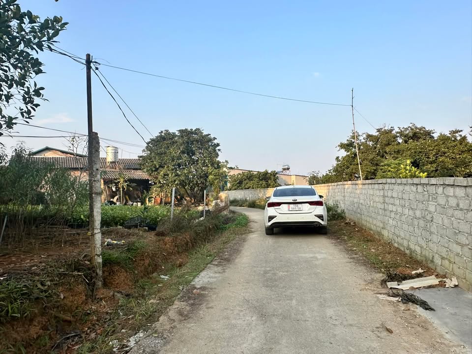 Đất nền Phong Châu 320m² giá 1 tỷ - Mặt tiền 21m, gần KCN Phú Hà