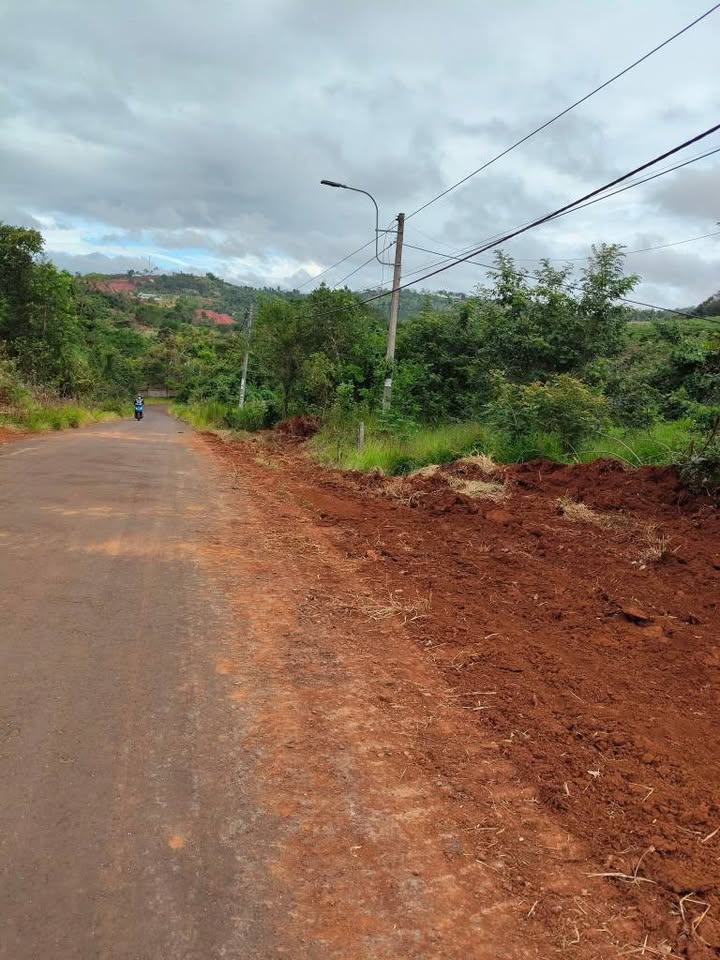 Đất thổ cư 210m² tại phường Nghĩa Đức, Gia Nghĩa - Kinh doanh tốt, giá 720 triệu!