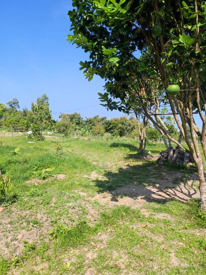 Đất 2 mặt tiền đường Chi Lăng, B'Lao, Bảo Lộc 2200m² giá 3.25 tỷ - Đầu tư sinh lời ngay!