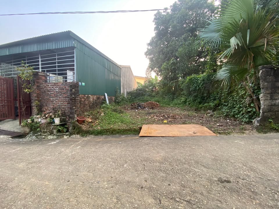 Đất thổ cư Khu 2 Phường Phú Thọ 150m² giá 700 triệu - Pháp lý rõ ràng, vị trí đắc địa!