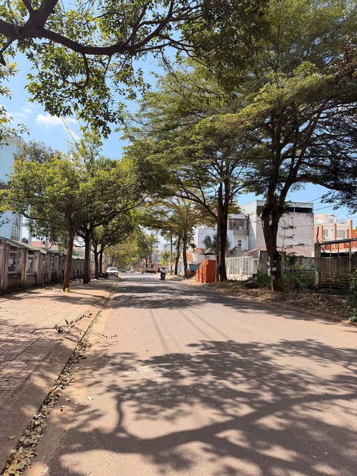 Đất nền phường Tân Lập, Buôn Ma Thuột 240m² giá 13.9 tỷ - Đầu tư sinh lời ngay!