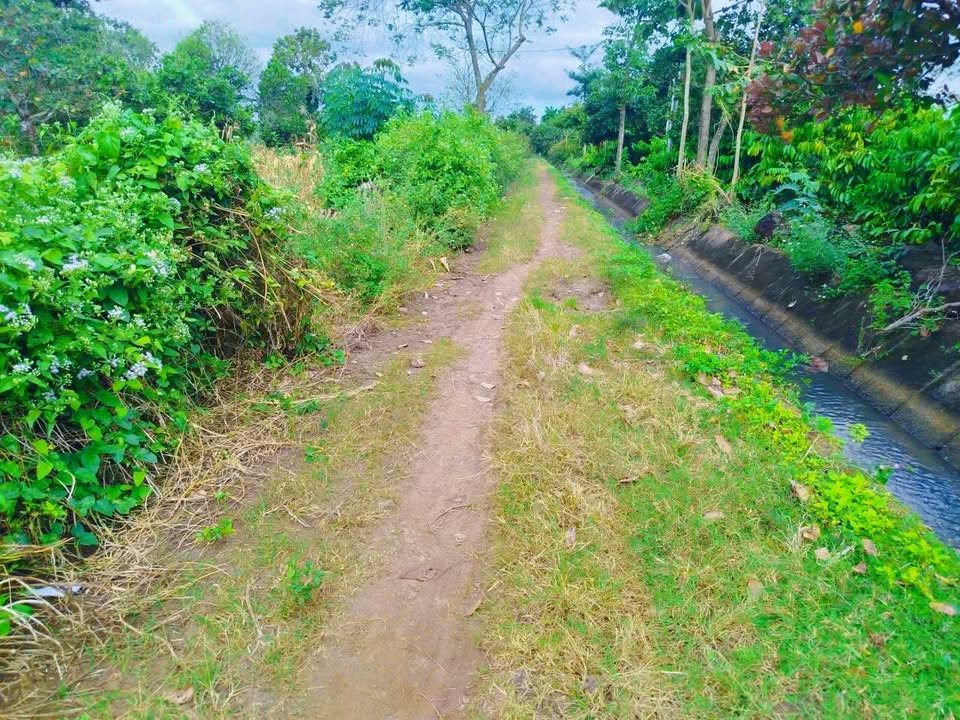 Đất nền Tân Hòa, Buôn Ma Thuột 7200m² giá 2.5 tỷ - Cơ hội đầu tư tuyệt vời!