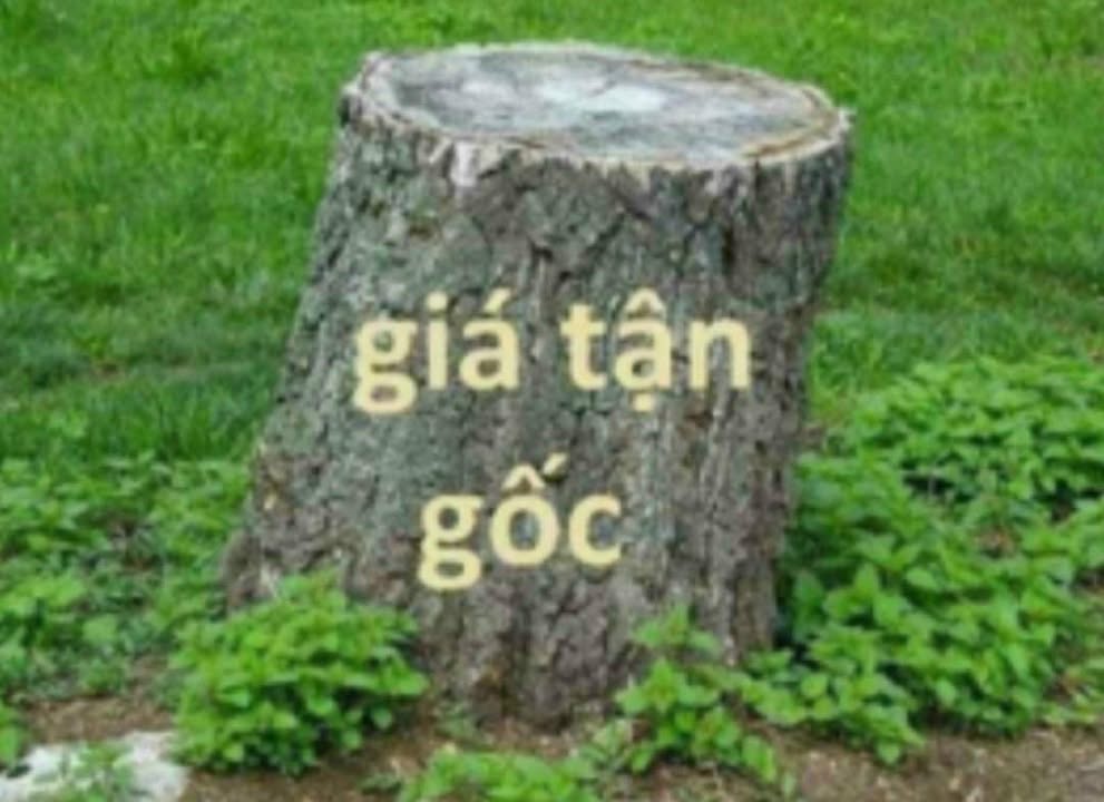 Đất nền Kim Long, Tam Dương 115m² giá 1.3 tỷ - Đường thông thoáng, tiện ích đầy đủ!