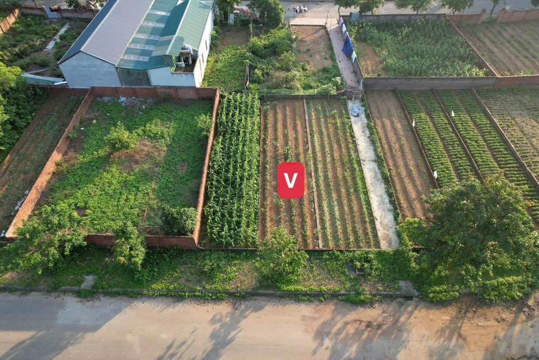 Đất nền khu Tái định cư Vai Réo, Quốc Oai 100m² giá 4 tỷ - Đầu tư tuyệt vời!