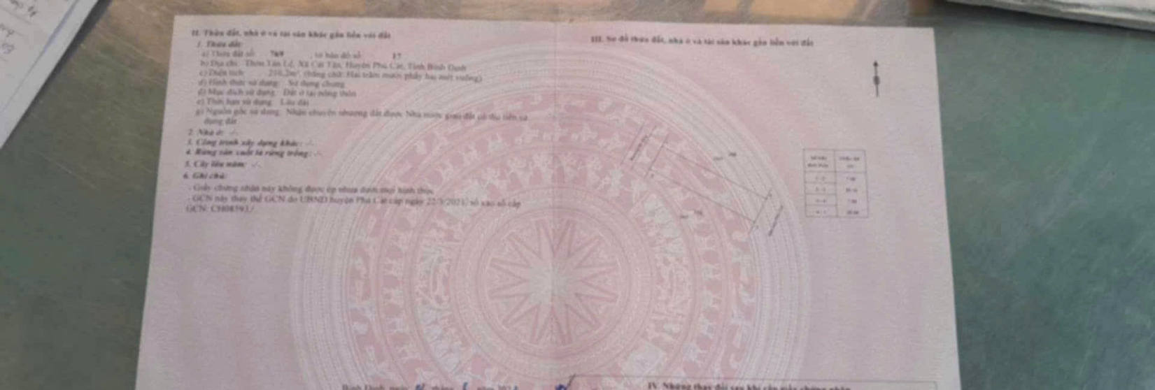 Đất mặt tiền đường Tân Lệ, Phù Cát 210m² giá 695 triệu - Đầu tư lý tưởng!