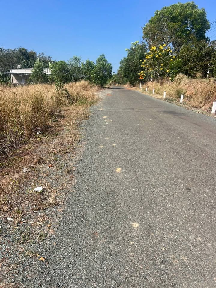 Đất nền thổ cư Minh Đức 3600m² giá 500 triệu - Cơ hội đầu tư sinh lời!