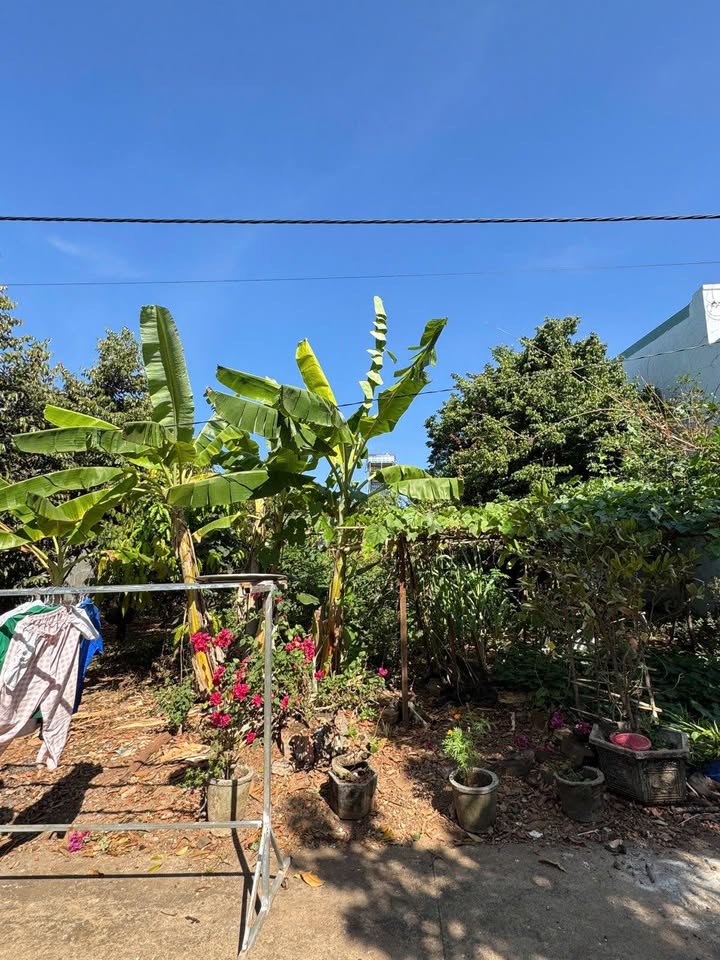 Đất thổ cư 600m² Phường Long Thủy - Giá 1.2 tỷ, thương lượng nhẹ!