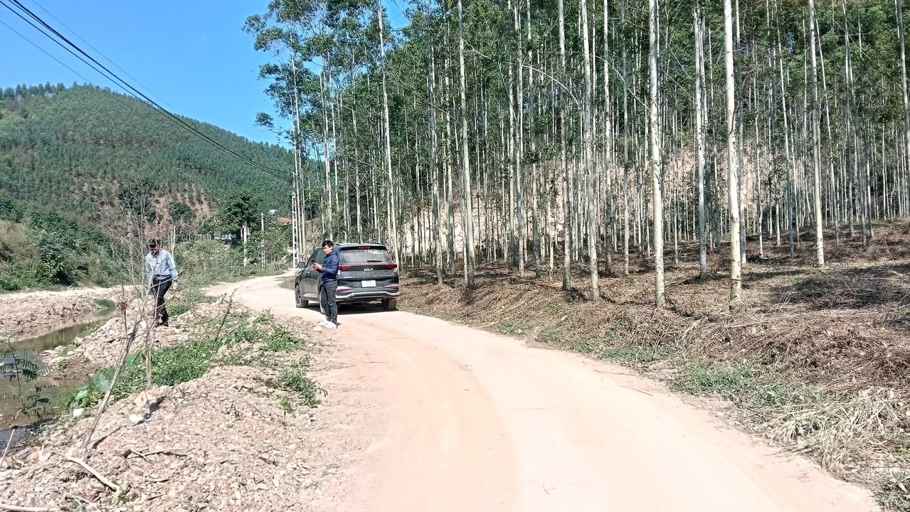 Đất thổ cư Đồng Tiến Yên Thế 329m² giá 299 triệu - Pháp lý rõ ràng sẵn sàng sang tên!