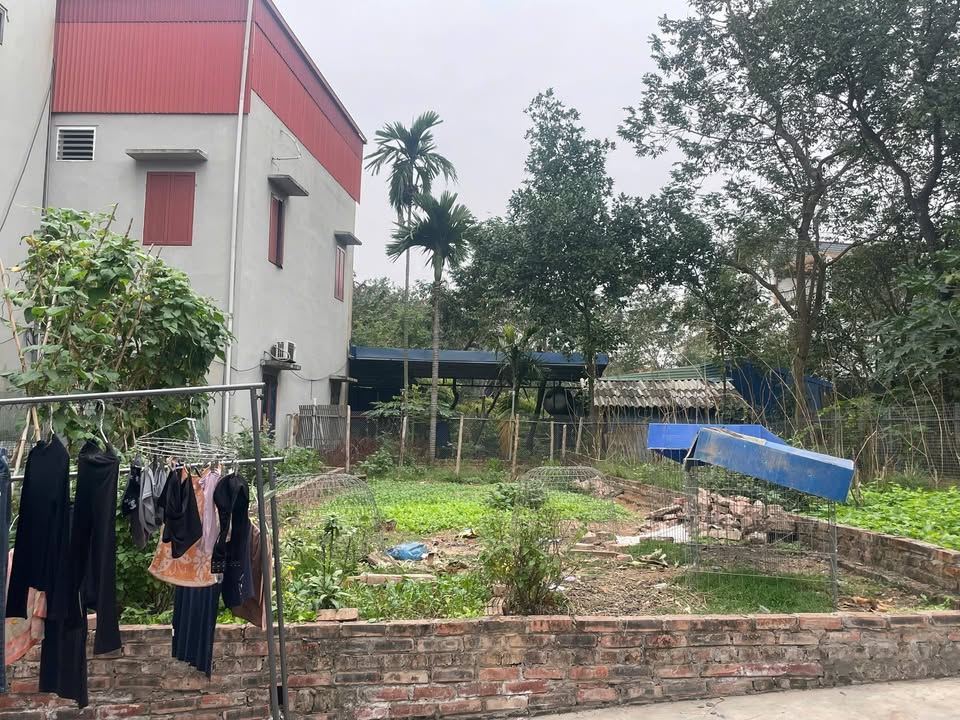 Đất Thổ Cư Thôn Thượng, Phật Tích, Bắc Ninh 91,7m² giá 2 tỷ - Đầu tư sinh lời tốt!