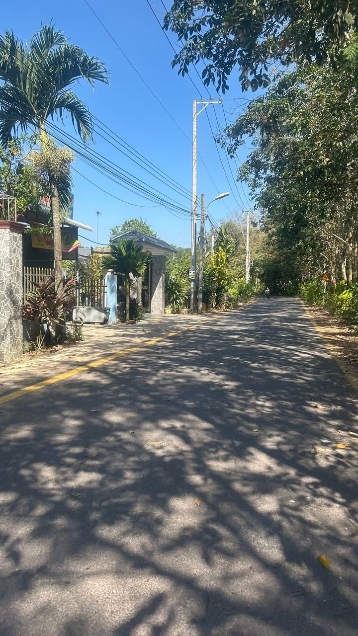 Đất nền Trừ Văn Thố, Bàu Bàng 500m² giá 1 tỷ - Vị trí đắc địa, dân cư đông đúc!