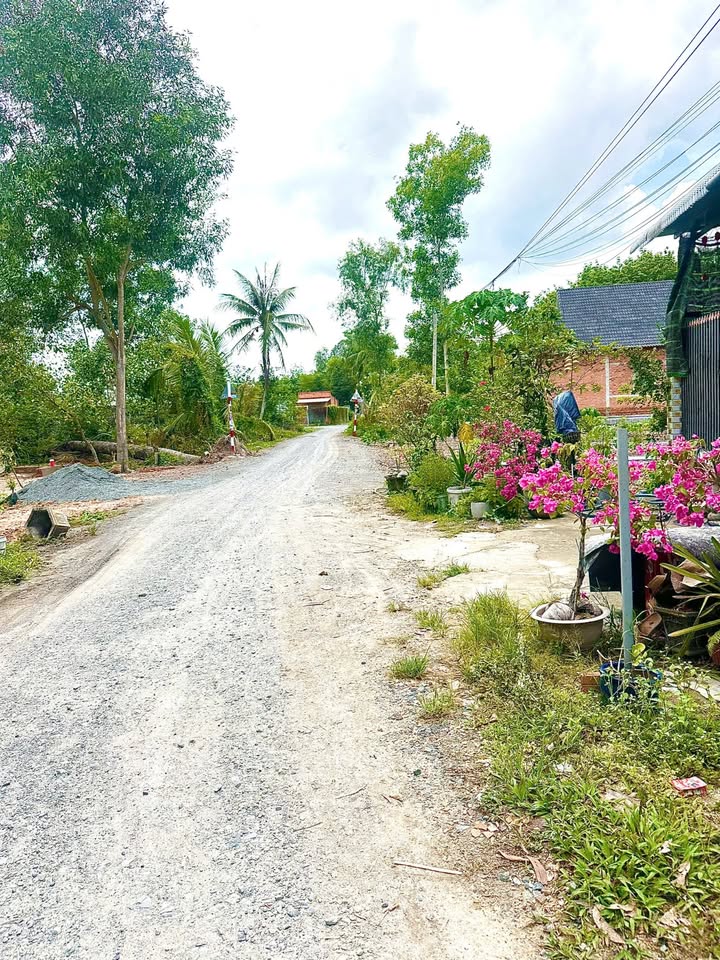 Đất thổ cư Lộc Ninh Dương Minh Châu 220m² giá 300 triệu - Sổ đỏ chính chủ ngay!