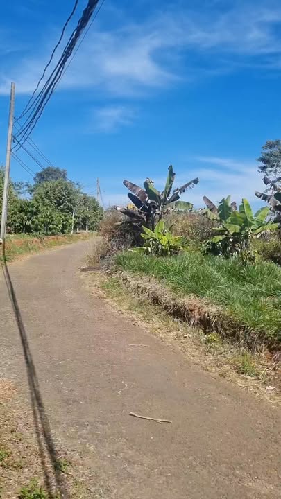 Đất thổ cư Lộc An 372m² giá 1.3 tỷ - Chính chủ cần bán gấp!