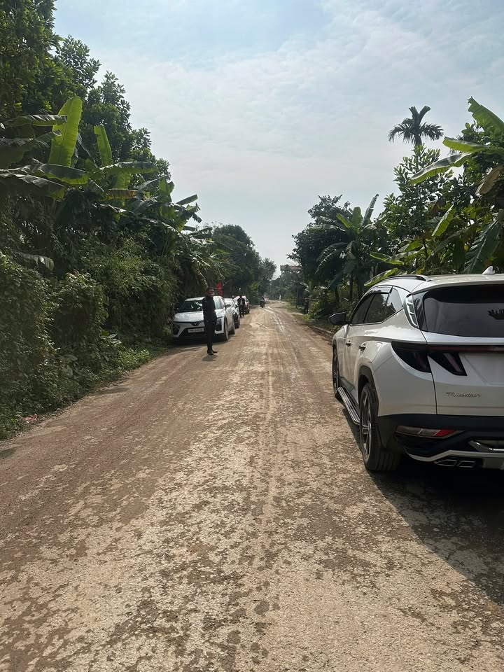 Đất nền mặt đường Tỉnh 315, Hiền Quan 158m² giá 780 triệu - Cơ hội đầu tư tuyệt vời!