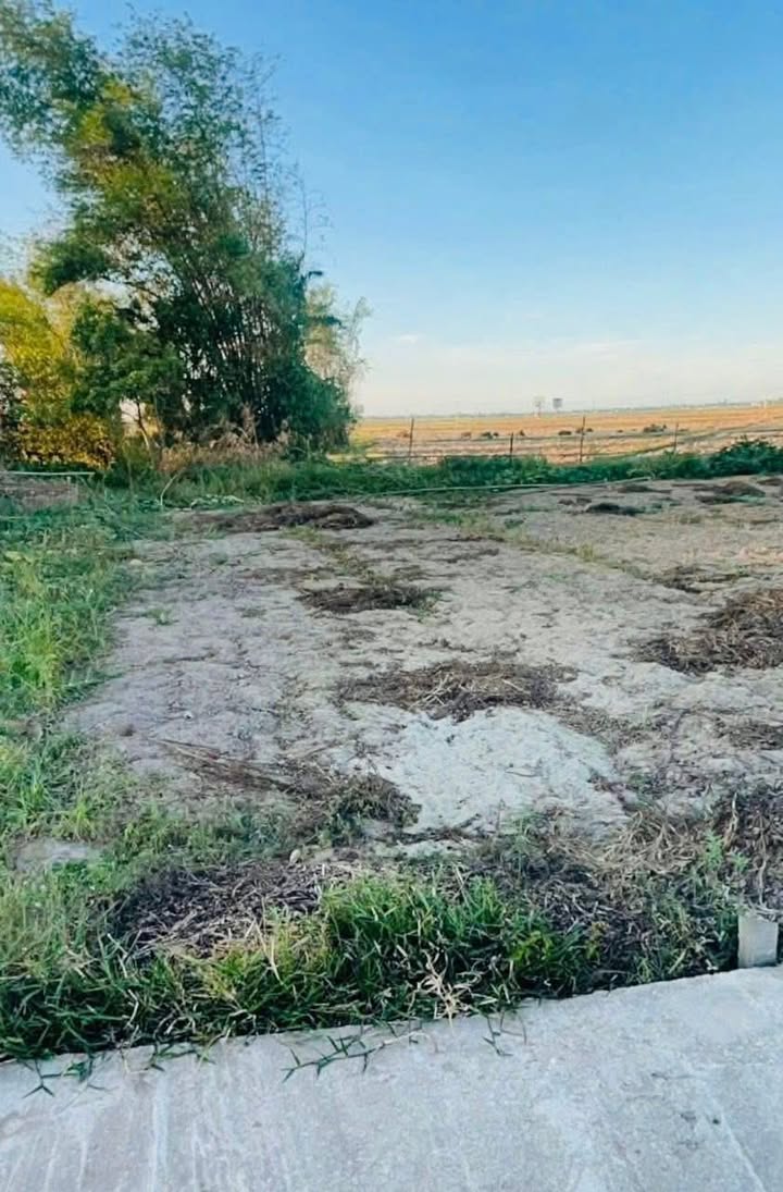 Đất nền Quế Phú, Quế Sơn 120m² giá 200 triệu - Cơ hội đầu tư hấp dẫn!