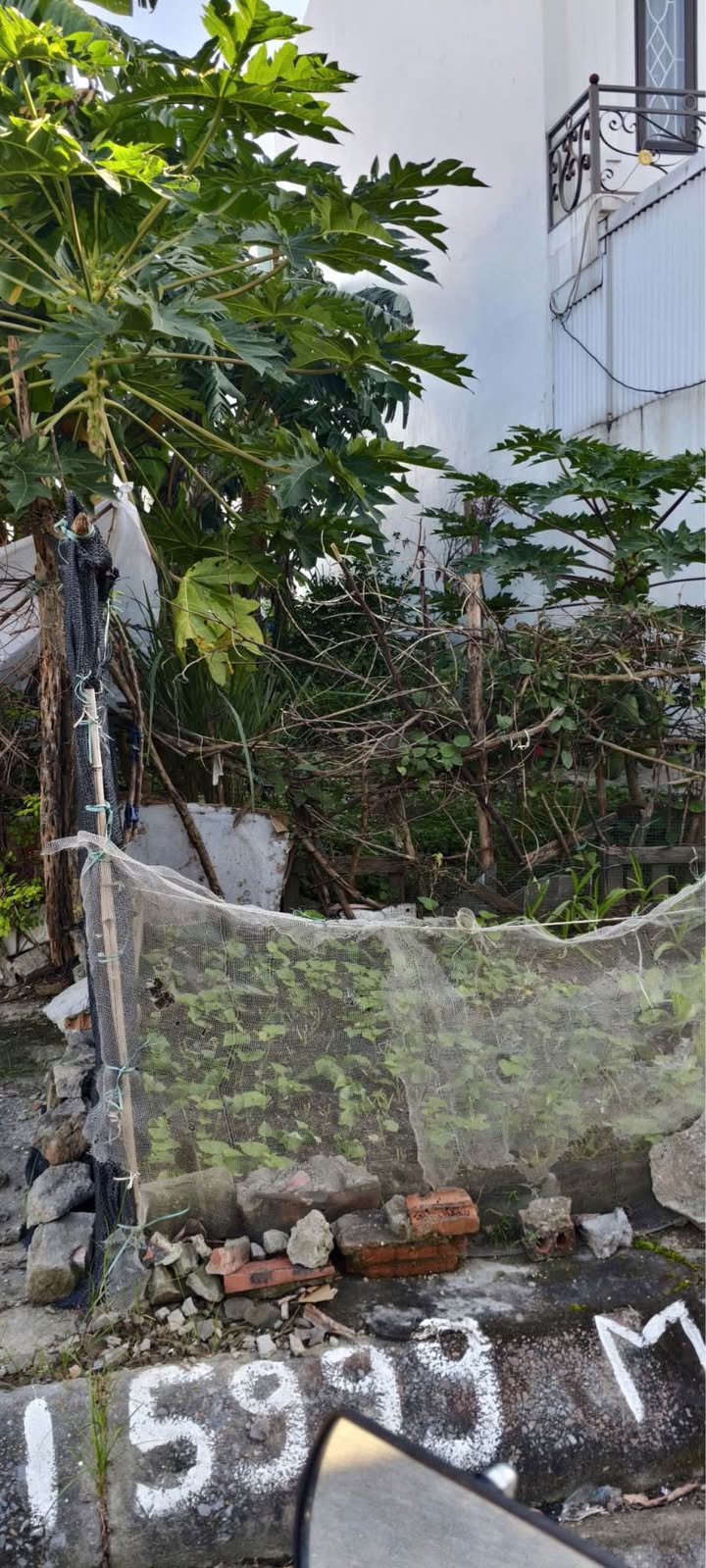 Đất nền chung cư Hoàng Mai, An Hải, Hải Phòng 100m² - Pháp lý chuẩn, giá tốt!