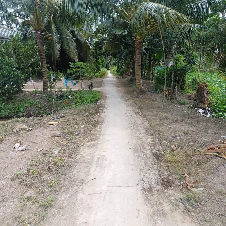 Đất nền Trường Long Tây, Phong Điền 26.680m² giá 5.87 tỷ - Cơ hội đầu tư tuyệt vời!