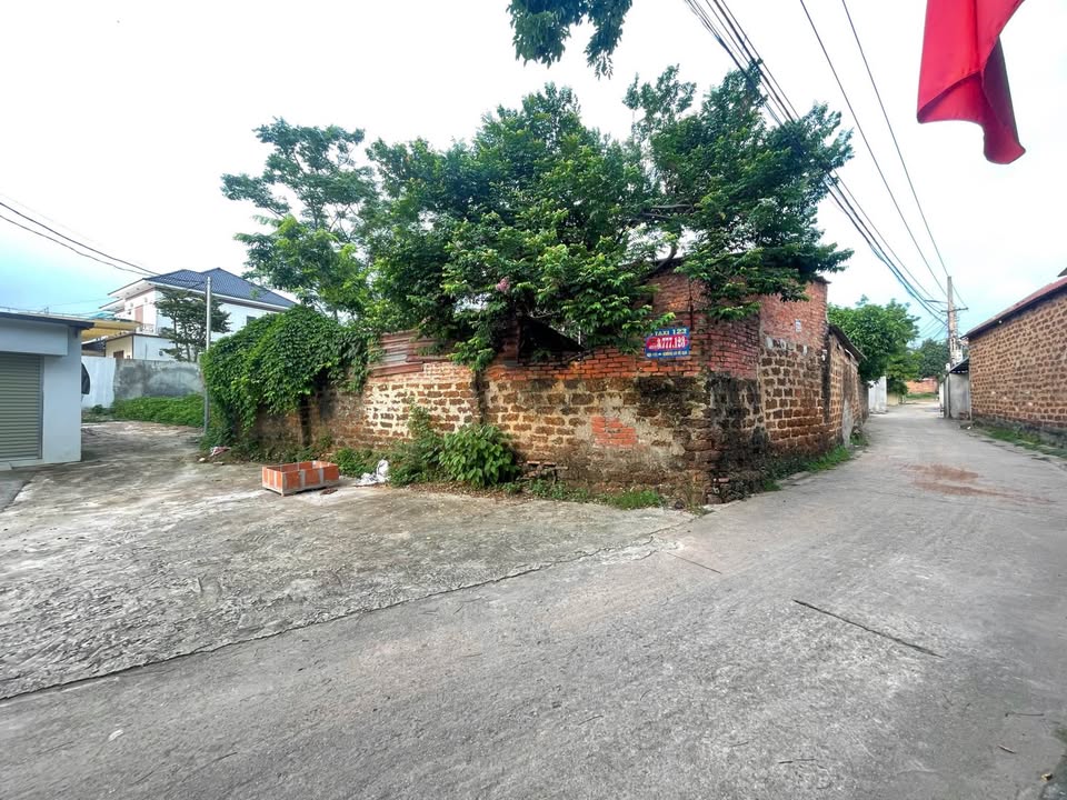 Đất thổ cư 96.8m² tại Cao Quang, Phúc Yên, Vĩnh Phúc - Đầu tư sinh lời cao!