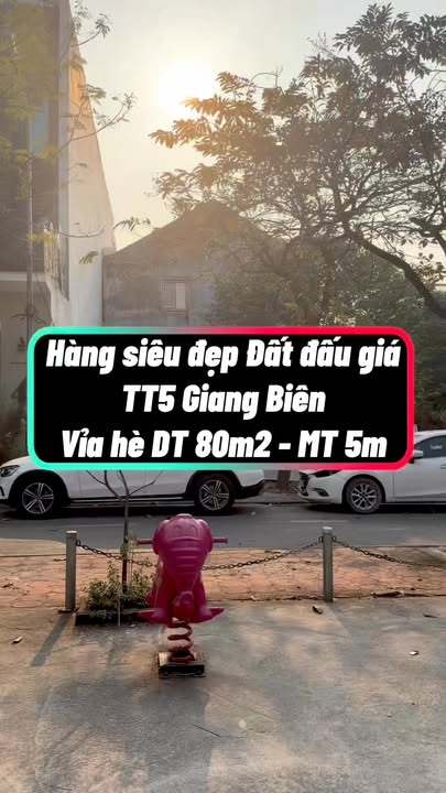 Đất đấu giá Giang Biên 80m² giá 1 tỷ - Cơ hội đầu tư hiếm có!