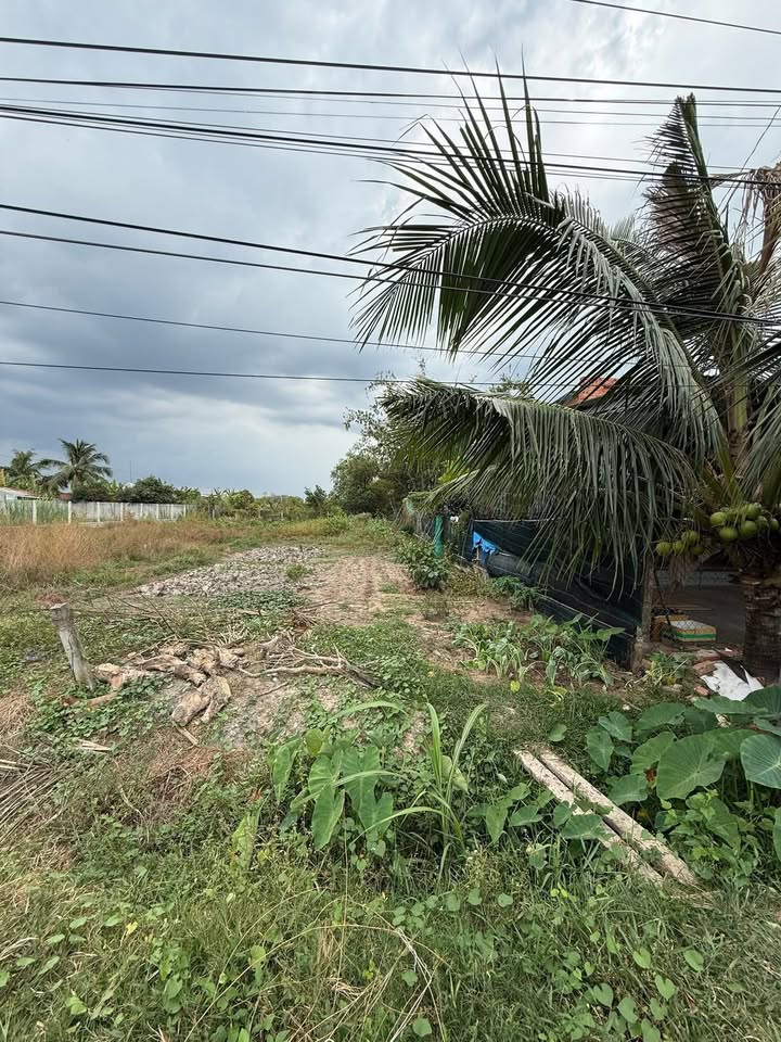 Đất nền Hiệp Thạnh, Gò Dầu 263m² giá 600 triệu - Pháp lý rõ ràng, đầu tư sinh lời!