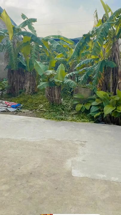 Đất nền khối 10 Quán Bàu 71.4m² giá chỉ 2.1 tỷ - Cơ hội đầu tư lý tưởng!