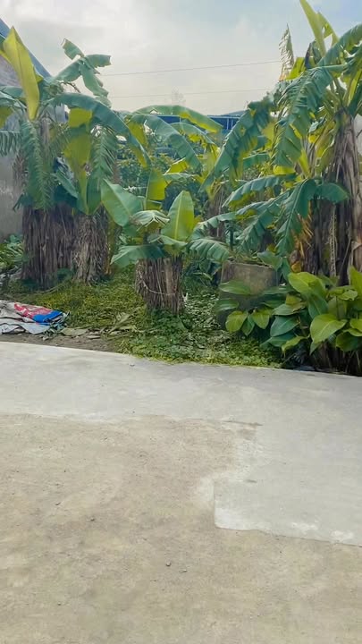 Đất nền Khối 10 Quán Bàu, Vinh 71.4m² giá 2.1 tỷ - Cơ hội đầu tư hấp dẫn!