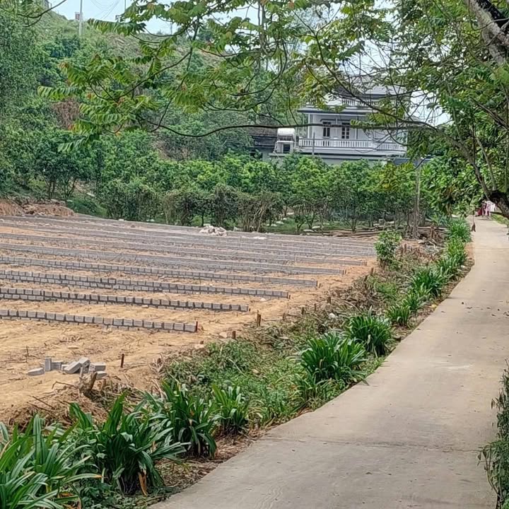 Đất thổ cư An Bình Phú Thọ 50m² giá 3 tỷ - Vị trí đắc địa gần chợ!