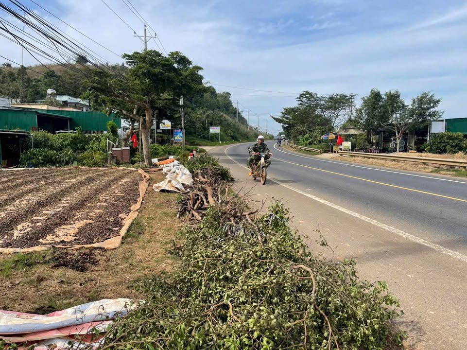 Đất 2 mặt tiền Quốc lộ 20, Di Linh 369m² giá 79.785 tỷ - Cơ hội đầu tư sinh lời!