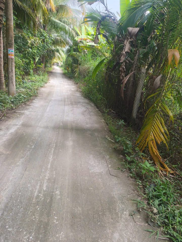 Đất mặt tiền xã Lương Quới, Giồng Trôm 3462m² giá 520 triệu - Cơ hội đầu tư không thể bỏ lỡ!