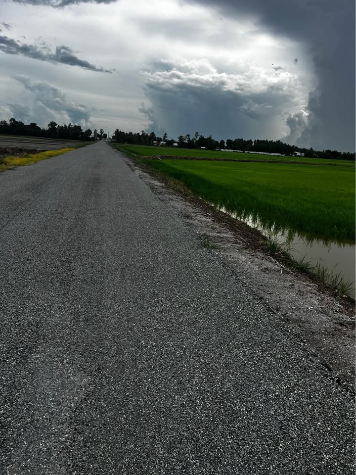 Đất mặt tiền Tuyên Minh Lương, 6144m² giá 1 tỷ - Cơ hội đầu tư hấp dẫn!