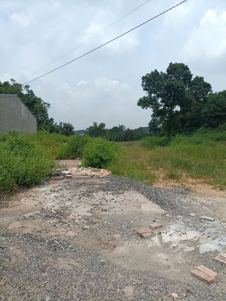 Đất nền xóm Liên Hồng, xã Vô Tranh, huyện Phú Lương 484,6m² - Giá chỉ 1,58 tỷ VND!