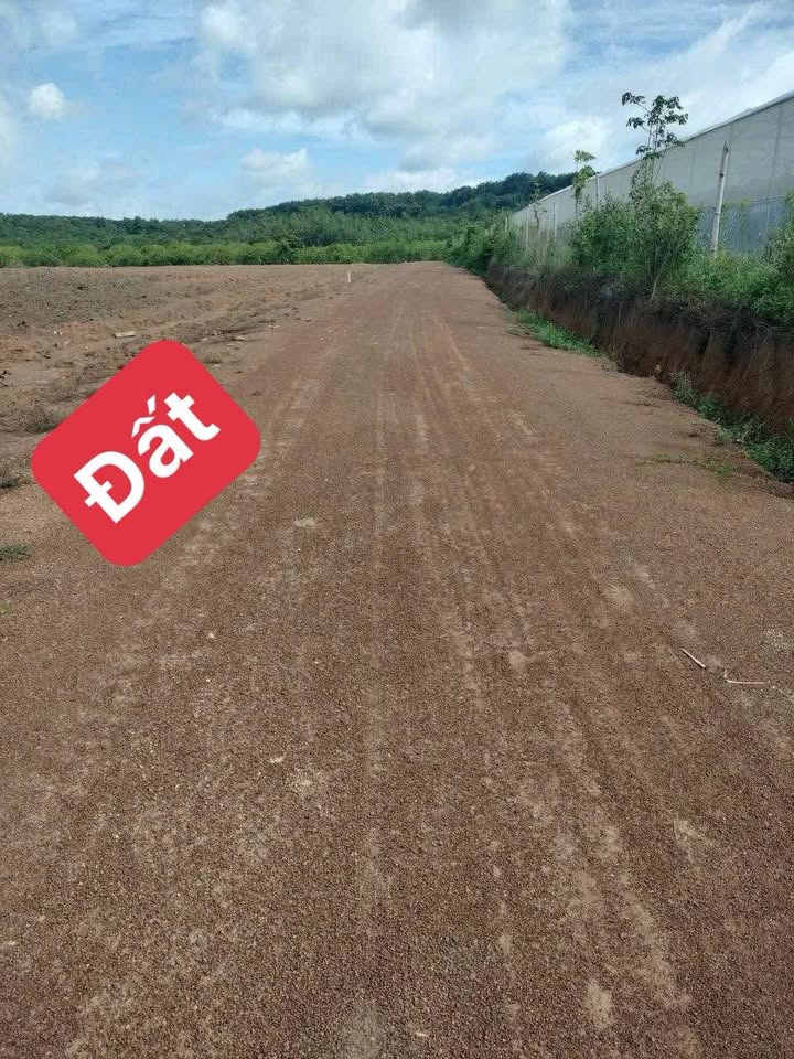 Đất nền Thanh An, Hớn Quản 7200m² chỉ 100 triệu - Đầu tư sinh lời ngay!