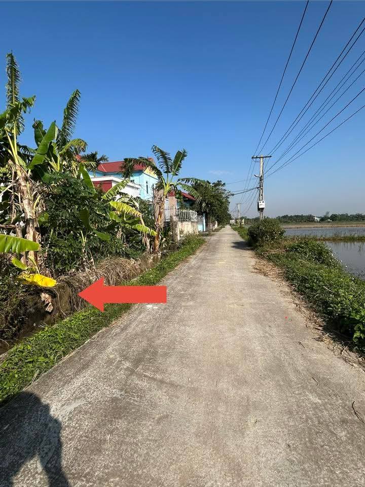 Đất nền Tiêu Bảng, Tân Minh 161m² giá 1 tỷ - View thoáng, pháp lý rõ ràng!