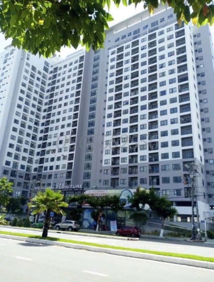 Căn hộ Sơn Trà Ocean View Đà Nẵng 50m² giá 2.5 tỷ - Sổ hồng chính chủ, đầy đủ tiện ích!