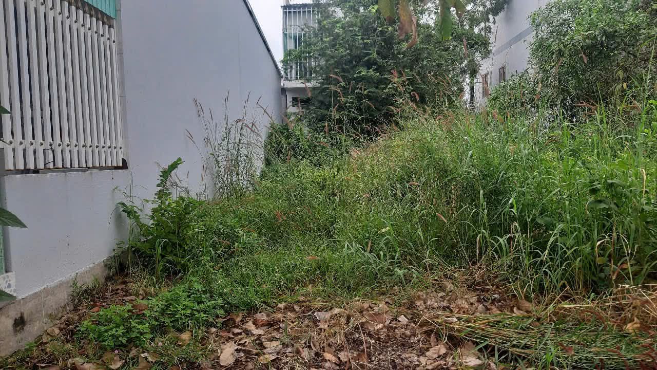 Đất thổ cư mặt tiền đường nhựa Tân Hải 72m² giá 1.78 tỷ - Cơ hội đầu tư tuyệt vời!