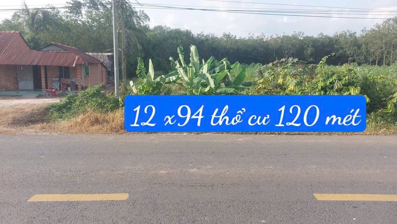 Đất mặt tiền tỉnh lộ 796, xã Long Vĩnh, Châu Thành, Tây Ninh 1128m² - Giá 1.26 tỷ, cơ hội đầu tư tuyệt vời!