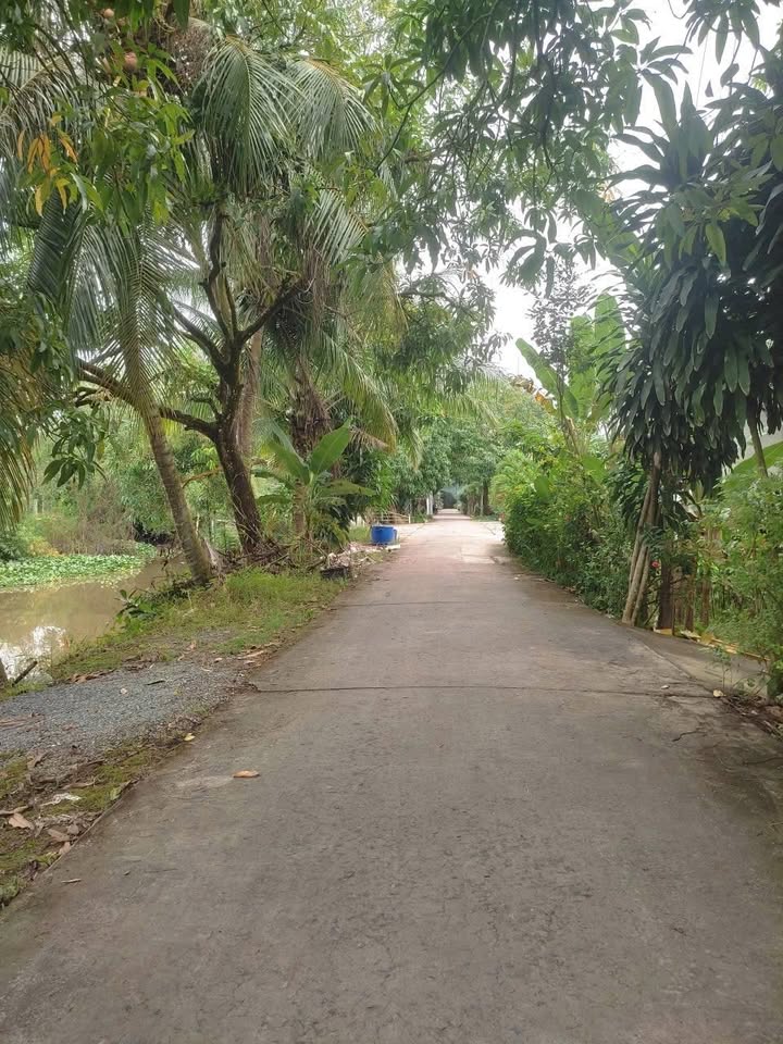 Đất nền phường 6 TP. Cao Lãnh 800m² giá 2.5 tỷ - Đầu tư sinh lời ngay!