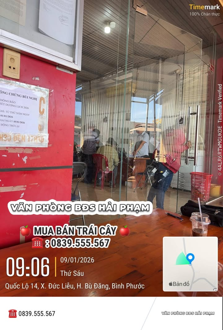 Đất nền Phước Sơn, Bù Đăng diện tích 9000m² - Vị trí đắc địa, thích hợp đầu tư!