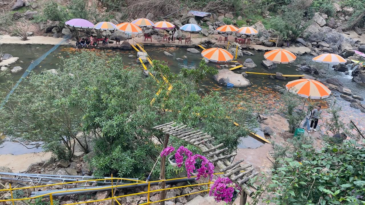 Đất thổ cư Thạch Xuân 2000m² giá 6 tỷ - Cơ hội đầu tư tuyệt vời!