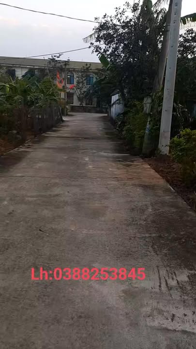 Đất nền Cẩm Thành 144m² - Tiềm năng đầu tư cao!