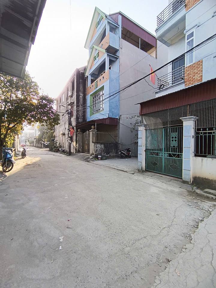 Lô đất Giãn dân Uy Nỗ, Đông Anh 100m² giá 1 tỷ - Đường ô tô vào tận nơi!