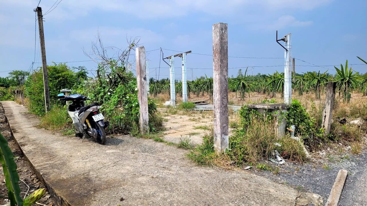 Đất thổ cư Phước Tân Hưng, Châu Thành, Long An - Giá chỉ từ 239 triệu/lô!