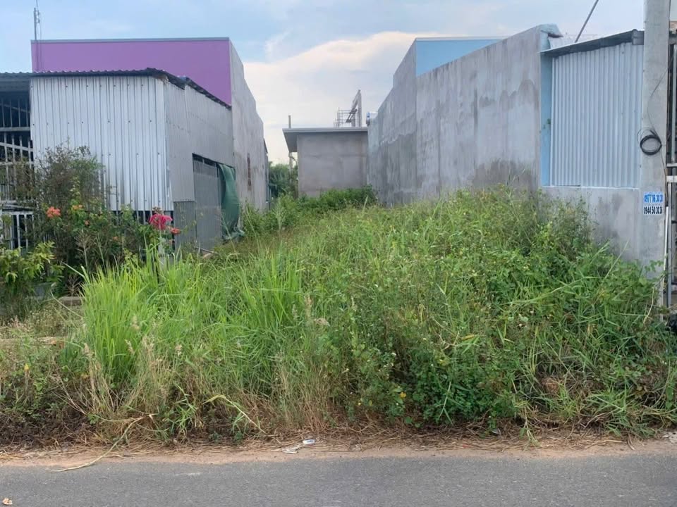 Lô đất thổ cư mặt tiền Xoài Vỳ, Hàm Thắng 159,5m² giá 1,15 tỷ - Cơ hội đầu tư tuyệt vời!