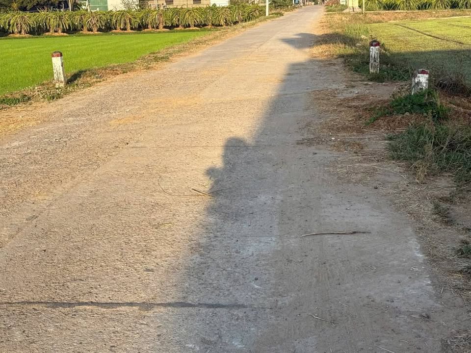 Đất thổ cư Hội Nhơn, Hàm Liêm 201m² giá 650 triệu - Sổ hồng chính chủ!