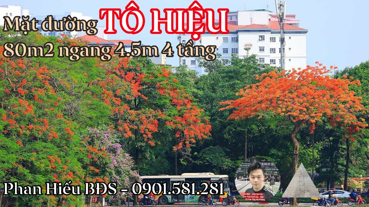 Nhà mặt phố Tô Hiệu, Hải Phòng 80m² giá 24.5 tỷ - Vị trí vàng, tiềm năng sinh lời!