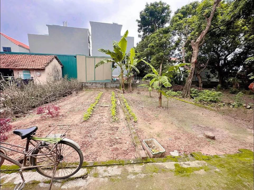 Đất thổ cư Tiền Lệ, Sơn Đồng 52m² giá chỉ 2 tỷ - Mặt tiền rộng, vị trí đẹp!